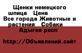 Щенки немецкого шпица › Цена ­ 20 000 - Все города Животные и растения » Собаки   . Адыгея респ.